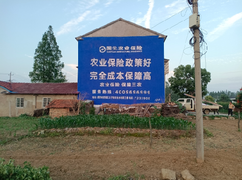 乐业墙体广告为何受追捧？